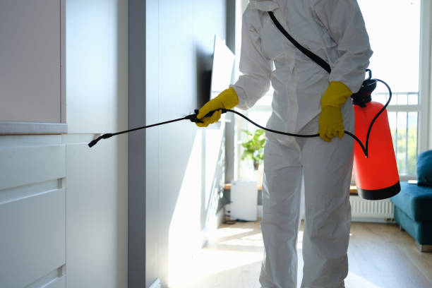 Mold Testing and Removal in Lely, FL